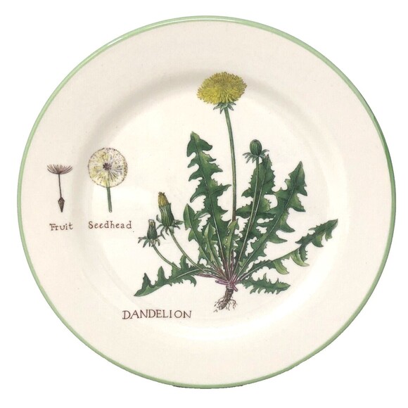 Williams Sonoma Culinary Herbs Luncheon Plates 8.75" Salad Portugal Set of 3 - Picture 3 of 12